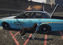 警用K9