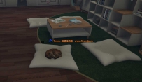 猫咖里的小猫